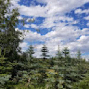 Meet your Posher, Yaomi